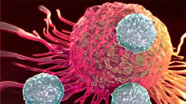 Scientists Unlock Cancer Tumours with ‘Timer Bomb’ Breakthrough