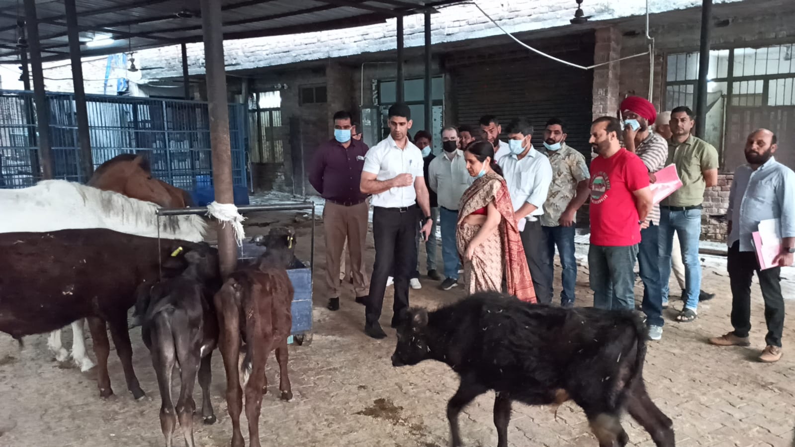 Commissioner Secretary H&UDD, Commissioner JMC visit animal care facilities in Jammu Commissioner Secretary H&UDD, Commissioner JMC visit animal care facilities in Jammu