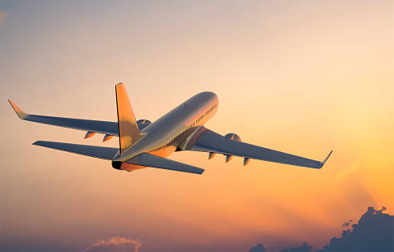 Pahalgam Terror Attack: DGCA Asks Airlines To Increase Srinagar Flights Pahalgam Terror Attack: DGCA Asks Airlines To Increase Srinagar Flights
