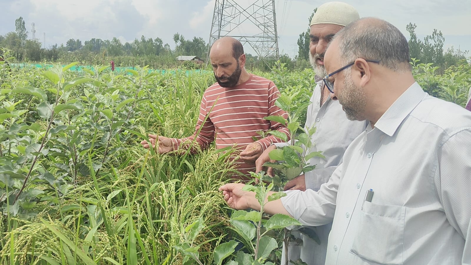Director Agriculture Kashmir conducts extensive tour of Kulgam Director Agriculture Kashmir conducts extensive tour of Kulgam