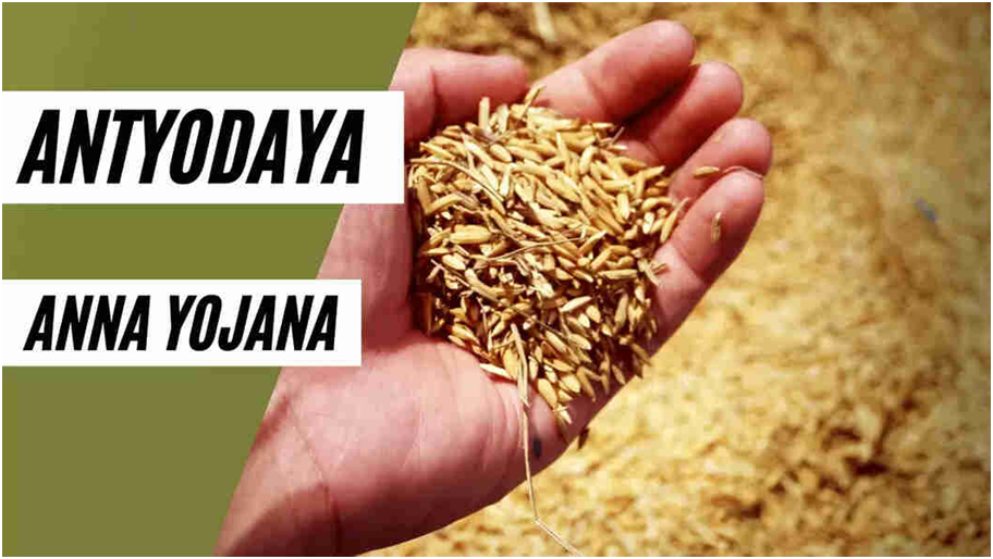AAY Beneficiaries Receiving Extra 10 Kg Free Ration Since April 2025: Government AAY Beneficiaries Receiving Extra 10 Kg Free Ration Since April 2025: Government