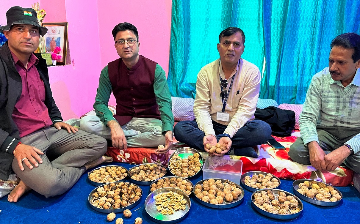 Turning Passion into Prosperity: Suneel Singh scripts Walnut cultivation success Story with ICAR-CITH -Srinagar Turning Passion into Prosperity: Suneel Singh scripts Walnut cultivation success Story with ICAR-CITH -Srinagar
