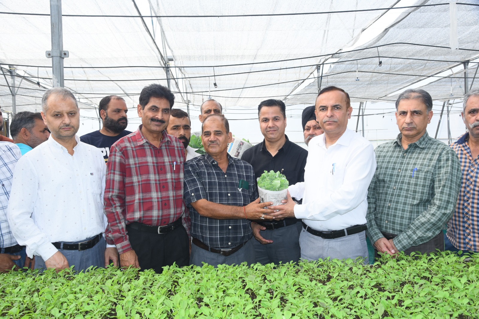 Director Agriculture Jammu distributes One Lakh Hybrid Vegetable Seedlings under HADP