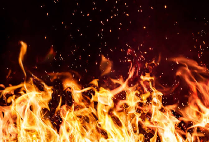 Cowshed Gutted in Massive Blaze in Anantnag Village