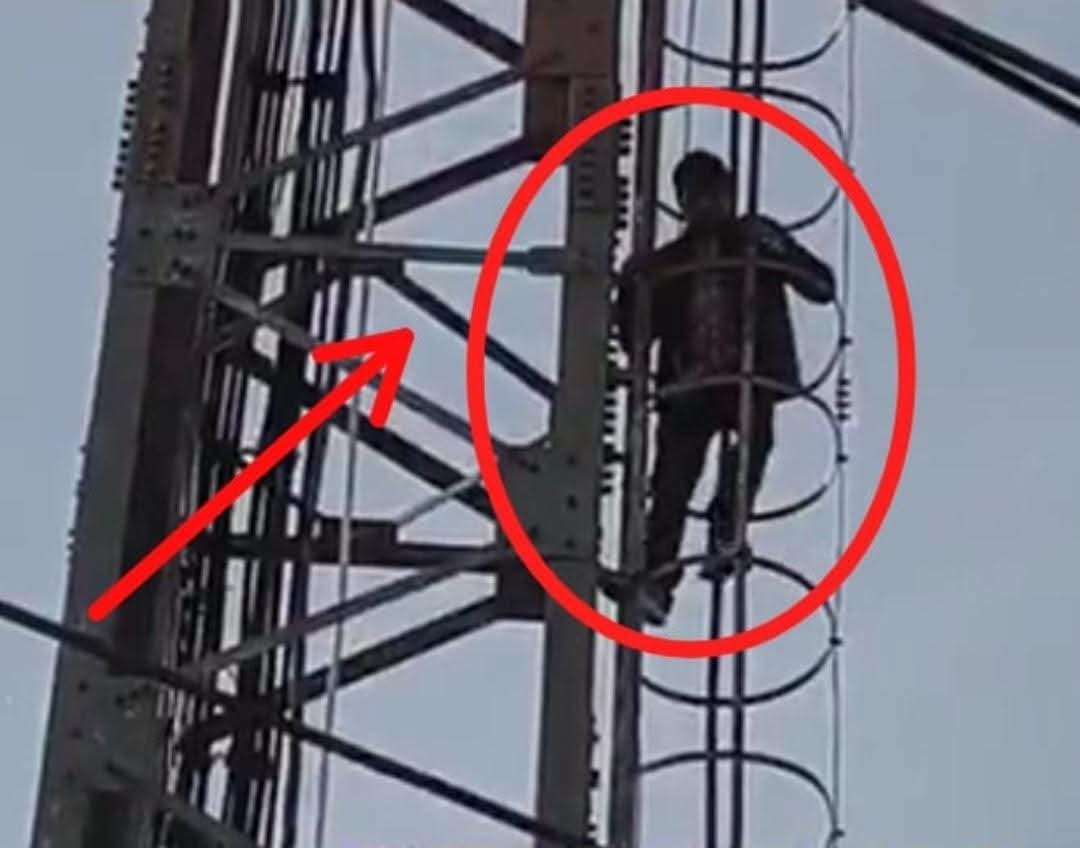 Jammu: Man Climbs Telecom Tower After Failing to Get Shop in Jagti Migrant Camp