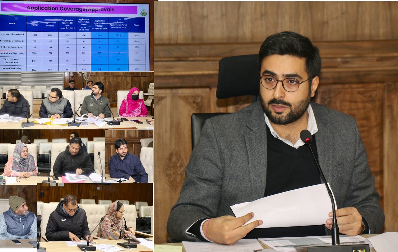 DC Srinagar reviews progress of JKCIP, HADP & KKGs in the district DC Srinagar reviews progress of JKCIP, HADP & KKGs in the district