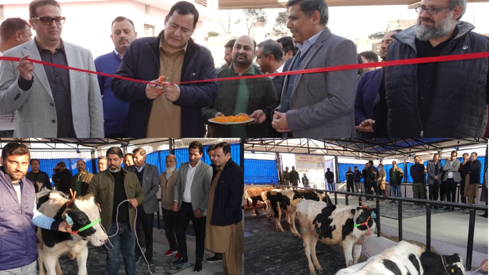 Dairy sector a key engine of agricultural economyMilk output targeted at 43 Lakh MT by 2030: Javid DarSAMBA FEBRUARY