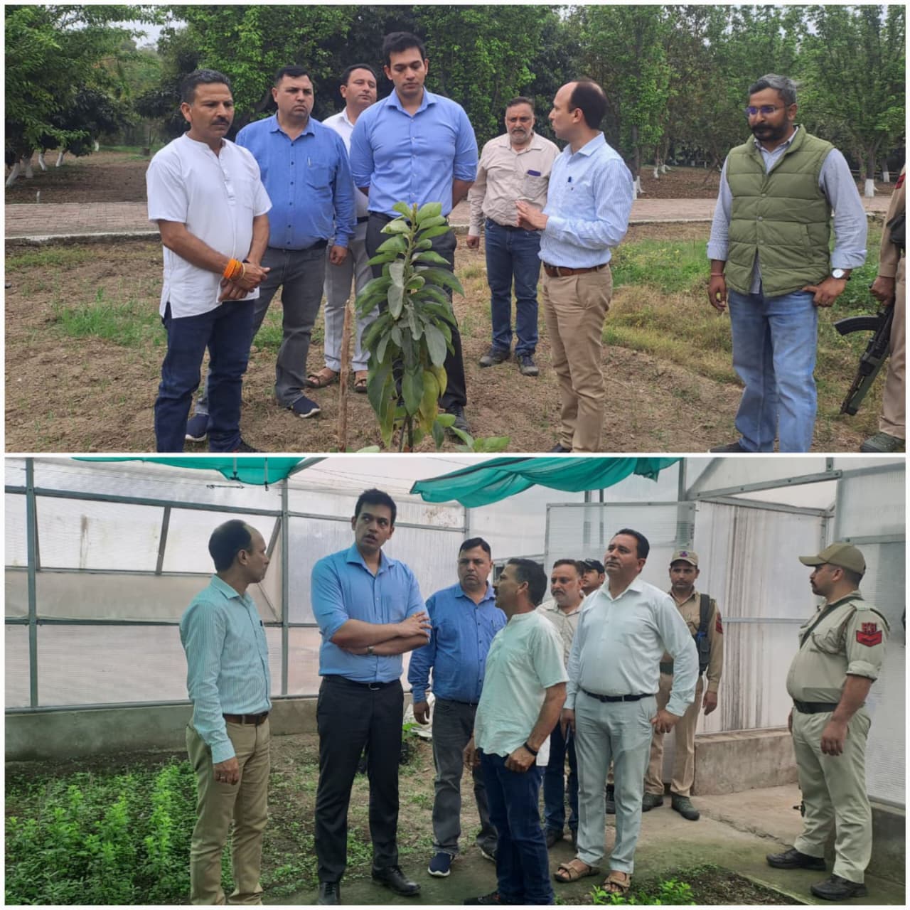 DC Jammu reviews horticulture development activities in Bhalwal block