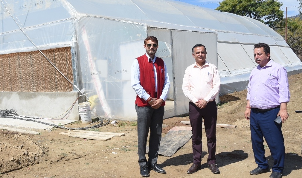 Director Agriculture inspects HADP project at Majalta