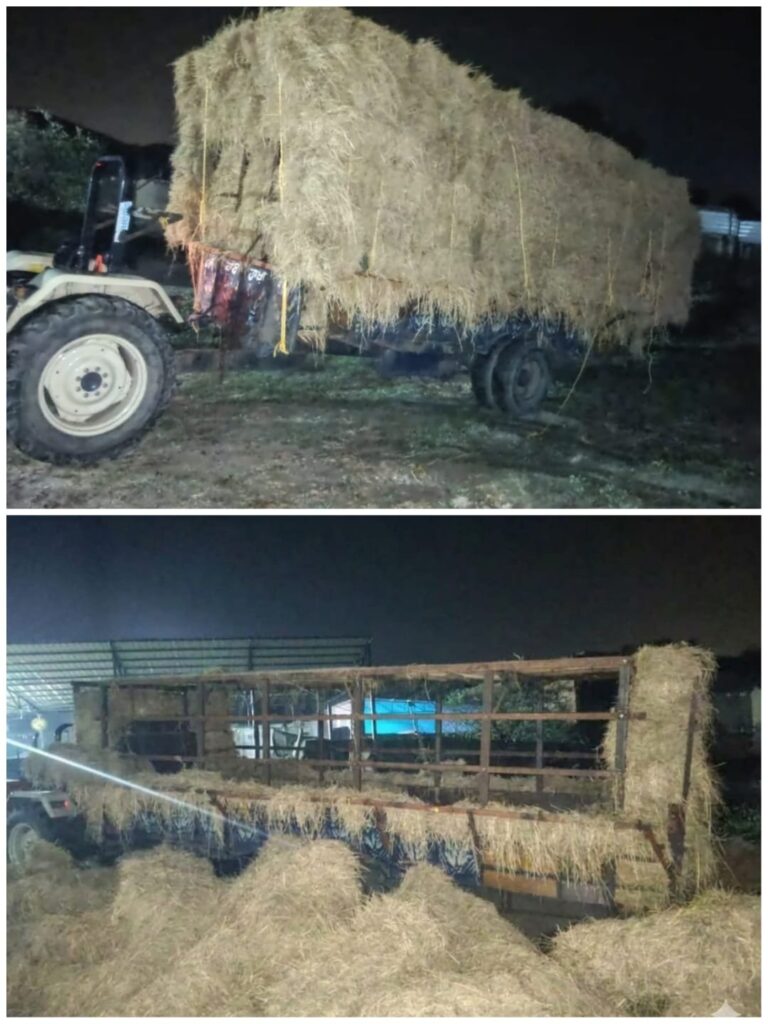 Continuing its drive against bovine smugglers and their propagators, Samba Police has successfully foiled a major bovine smuggling attempt within the jurisdiction of Police Station Ghagwal and rescued twelve (12) bovines. The tractor trolley used in the illegal transportation of bovines has also been seized
