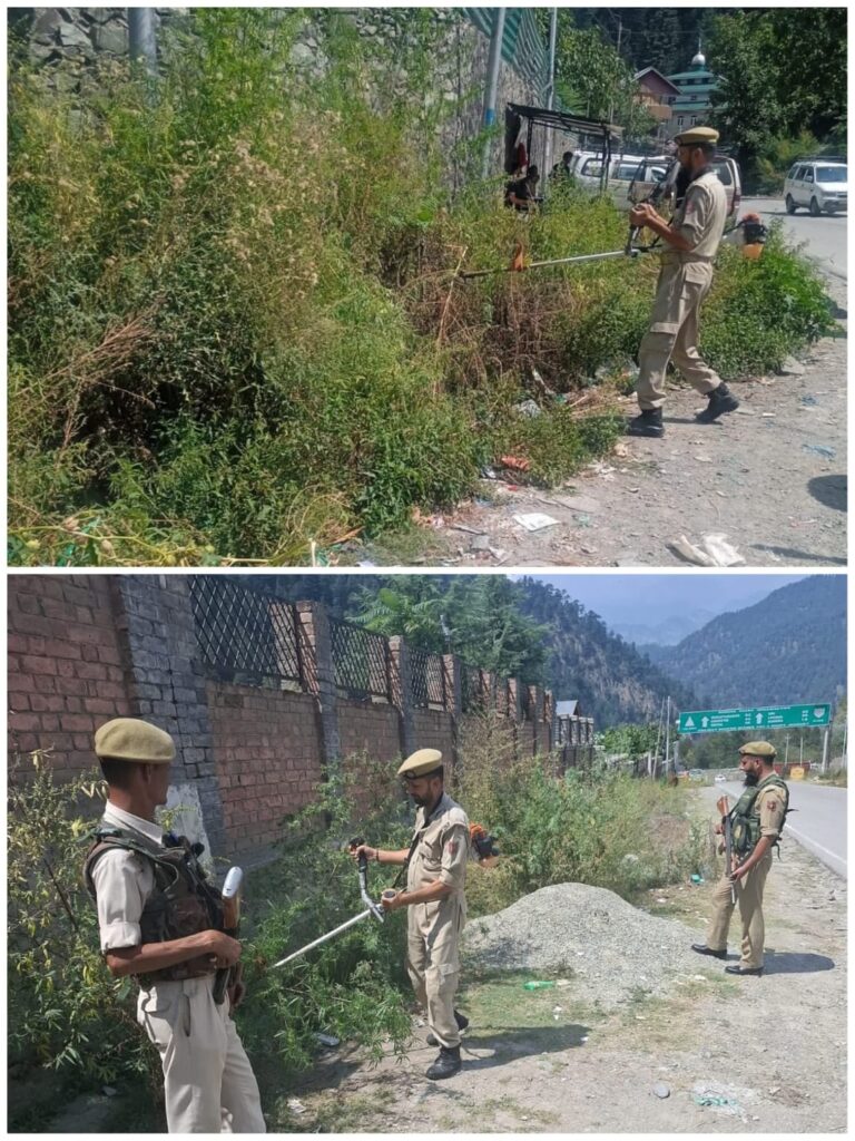 Baramulla Police destroyed approximately 2 kanals of wild bhang in Boniyar during a sustained anti-drug drive, based on inputs from the VPO and Beat Officer