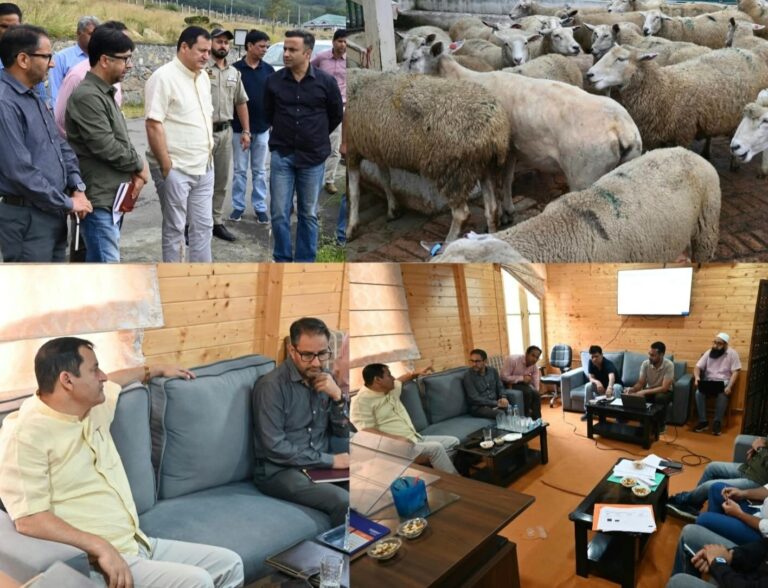 Minister for Agriculture, Javid Ahmad Dar today visited the Sheep Breeding Farm at Khimber and reviewed ongoing breeding programmes and developmental activities