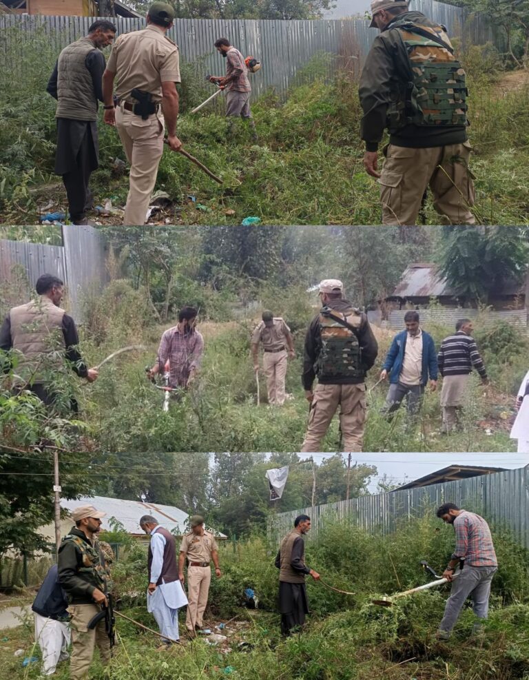 Sopore Police destroyed wild cannabis spread over 03 kanals of State land at Bomai, with active participation of local civil society