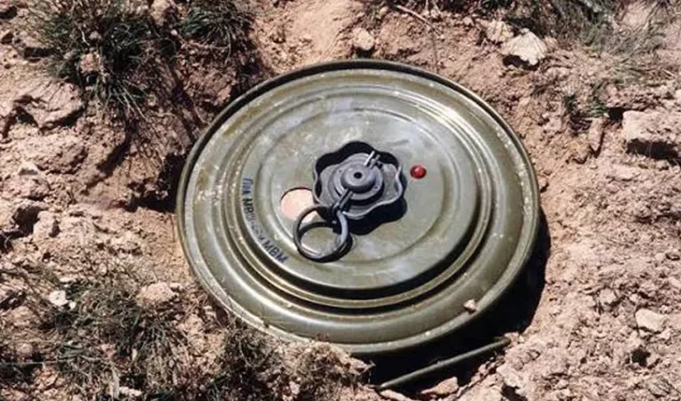 Three Rusted Mines Found In J&K’s Poonch, Safely Destroyed